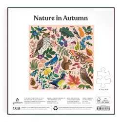 Nature in Autumn Animals
