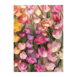 Ephemeral Tulips Flower & Garden