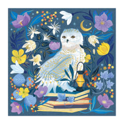 Celestial Owl Birds
