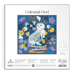 Celestial Owl Birds