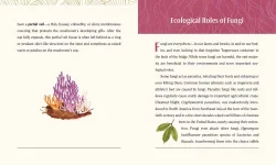 Mushrooms Flower & Garden