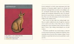 For the Love of Cats Cats