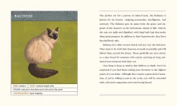 For the Love of Cats Cats