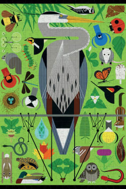 Secret Sanctuary Birds