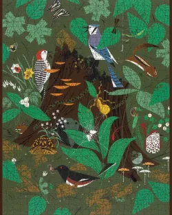 Woodland Wonders Birds