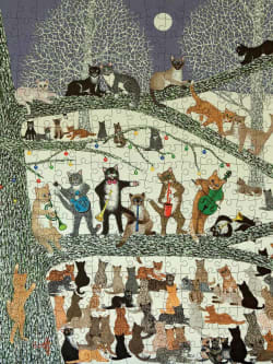 Pat Scott: A Resounding Success Cats