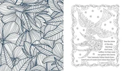 Bible Inspiration for Women Coloring Book - Scratch and Dent