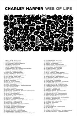 Web of Life Butterflies and Insects