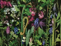 Chaos Flower & Garden