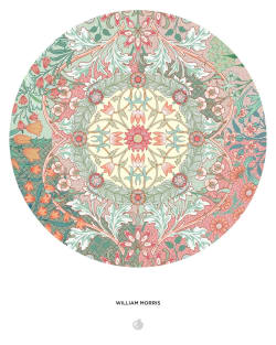William Morris Flower & Garden