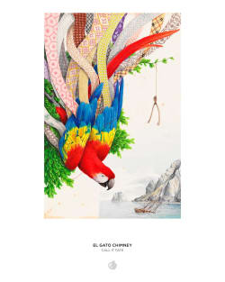 El Gato Chimney: Call It Fate Birds