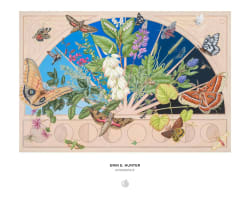 Erin E. Hunter: Emergence Flower & Garden