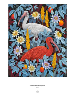 Vasilisa Romanenko: Ibises Birds