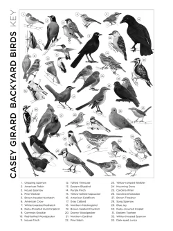Casey Girard: Backyard Birds Birds