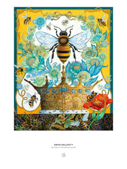 David Galchutt: Nature's Crowning Glory Butterflies and Insects