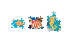 Around the World in 50 Fish Sea Life