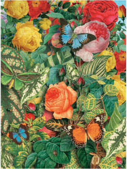 Butterfly Garden - Scratch and Dent Butterflies and Insects