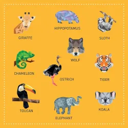 My Sticker Paintings: Zoo - Children's Activity Book