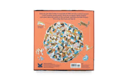 299 Cats (and a dog) Cats