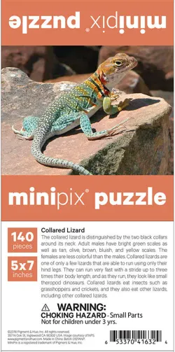 Collared Lizard MiniPix&reg; Puzzle Reptile & Amphibian