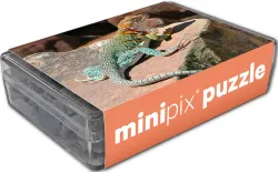Collared Lizard MiniPix&reg; Puzzle Reptile & Amphibian