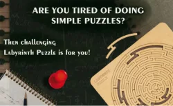 Labyrinth Puzzle