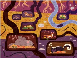 Forest Above & Below Butterflies and Insects