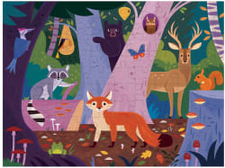 Forest Above & Below Butterflies and Insects