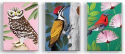 Birdtopia Puzzle Multipack Birds
