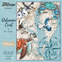 Coastal Delmarva Sea Life