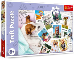 Dogs on Holiday Dogs