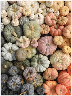Heirloom Pumpkins Fall