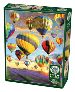Hot Air Balloons Summer