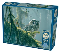 Mossy Branches - Spotted Owl Birds