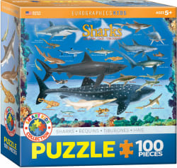 Sharks Sea Life