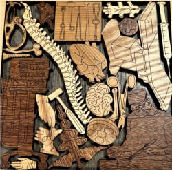 The Surgeon's Challenge Puzzle