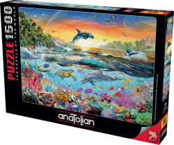 Tropical Paradise Sea Life