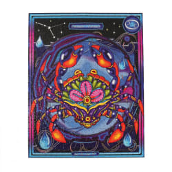 Water Signs Multipack Puzzles Astrology & Zodiac
