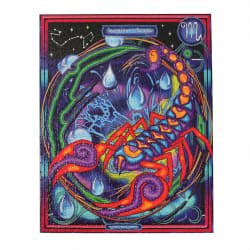 Water Signs Multipack Puzzles Astrology & Zodiac