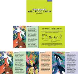 Wild Food Chain Science Multipack Animals