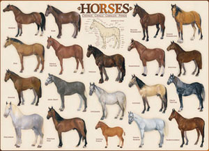 Horses Pattern & Geometric Jigsaw Puzzle By Eurographics