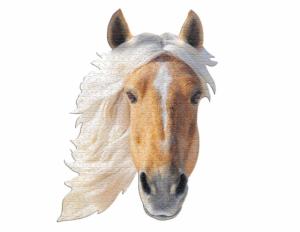 I Am Horse Horse Jigsaw Puzzle By Madd Capp Games & Puzzles