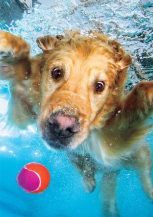 Fetch! Dogs Jigsaw Puzzle By Buffalo Games