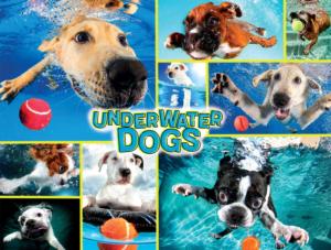Underwater Dogs Collage Jigsaw Puzzle By Buffalo Games