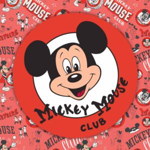 Classic Moments Mickey & Friends Jigsaw Puzzle By Ceaco