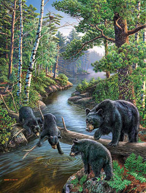 Bear Pause Lakes & Rivers Jigsaw Puzzle By SunsOut