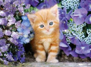 Ginger Cat in Flowers Flower & Garden Jigsaw Puzzle By Clementoni