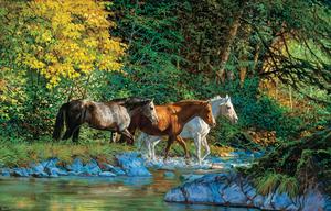 Bear Creek Crossing Forest Jigsaw Puzzle By SunsOut