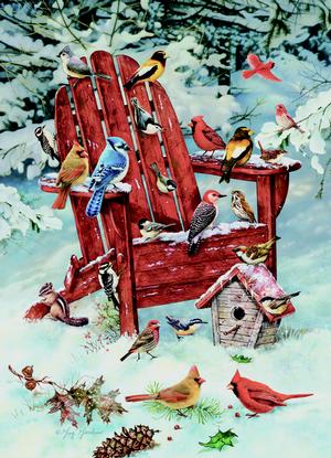 Adirondack Birds Birds Jigsaw Puzzle By Cobble Hill