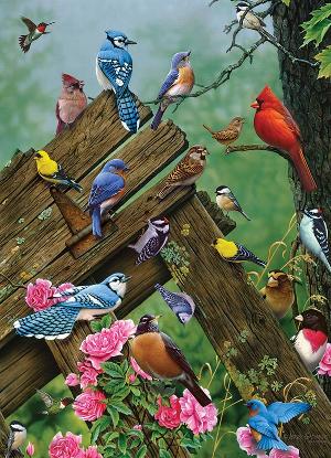 Birds of the Forest Nature Jigsaw Puzzle By Cobble Hill
